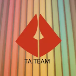 Ta_team