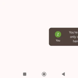 زینب رهبر مهندس کامپیوتر