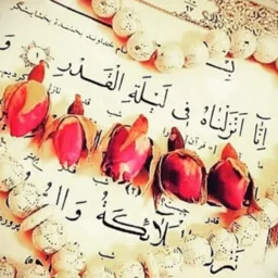 مهارت قدرت 2020