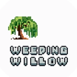 بیدمجنون  Weeping Willow