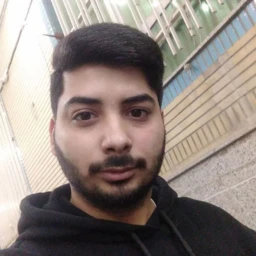 محمد جواد علایی