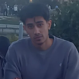 AliAnsarizadeh
