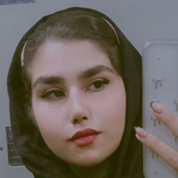 محقق، مترجم، تاپیست