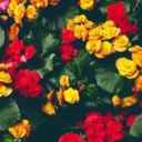 عبدی آذر