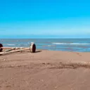 مژده مسلمی