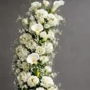 فاطمه آریاپور