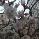 کاربر347605