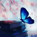 کاربر352283