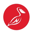 پلیکان قرمز
