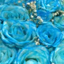 Fatemeh4475