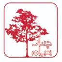 چنار خیام
