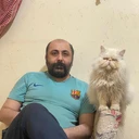 کریم حردانی