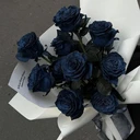 کاربر773101