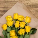 hannane_es