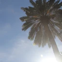 زهرا شجاع شفیعی
